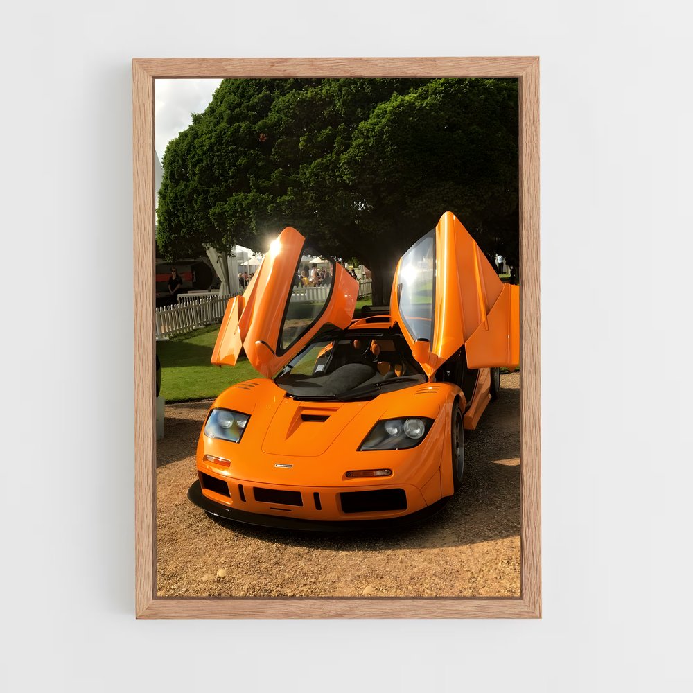 Poster McLaren en Fête (vue 4)